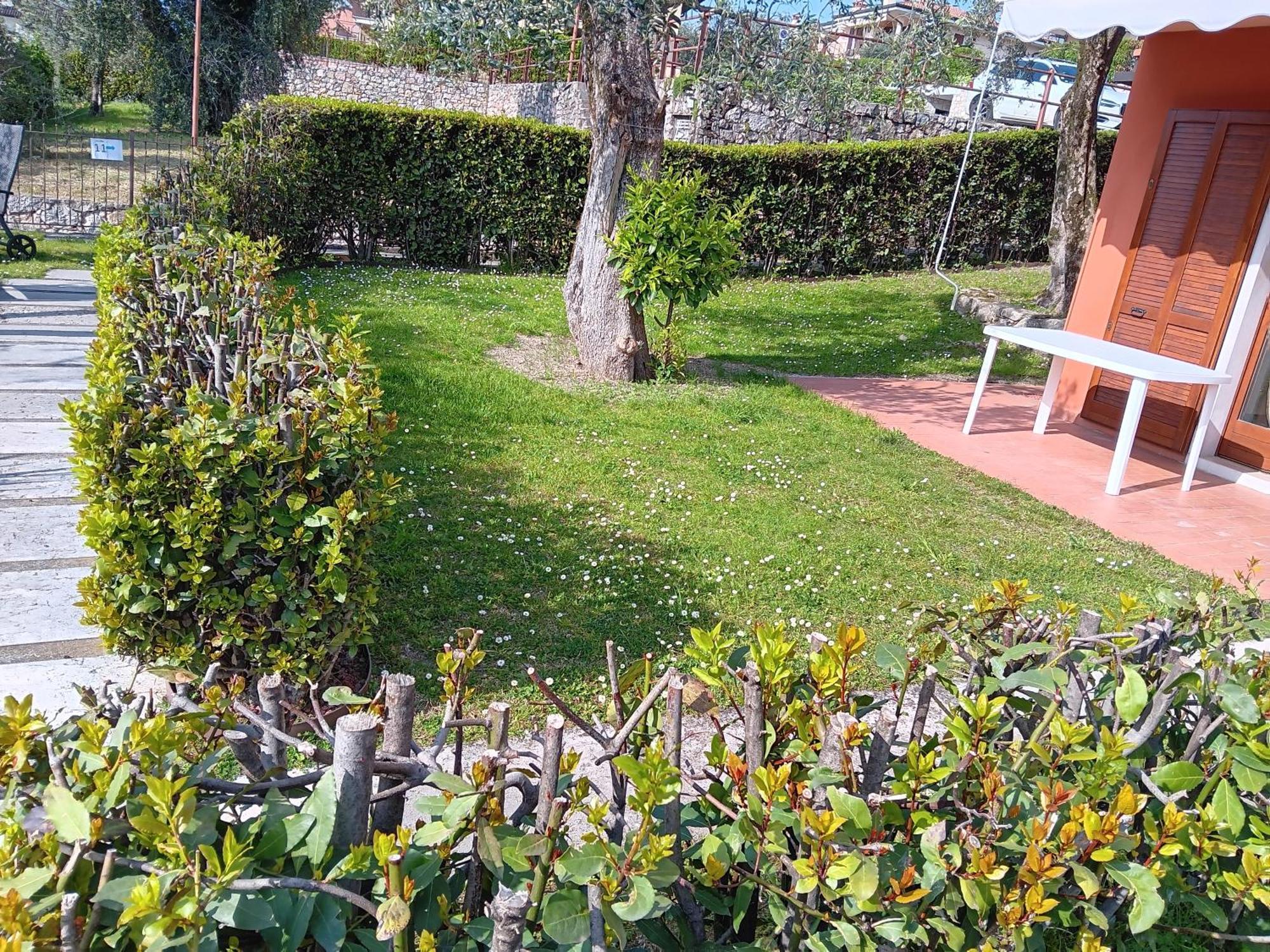 Albatros Apartment