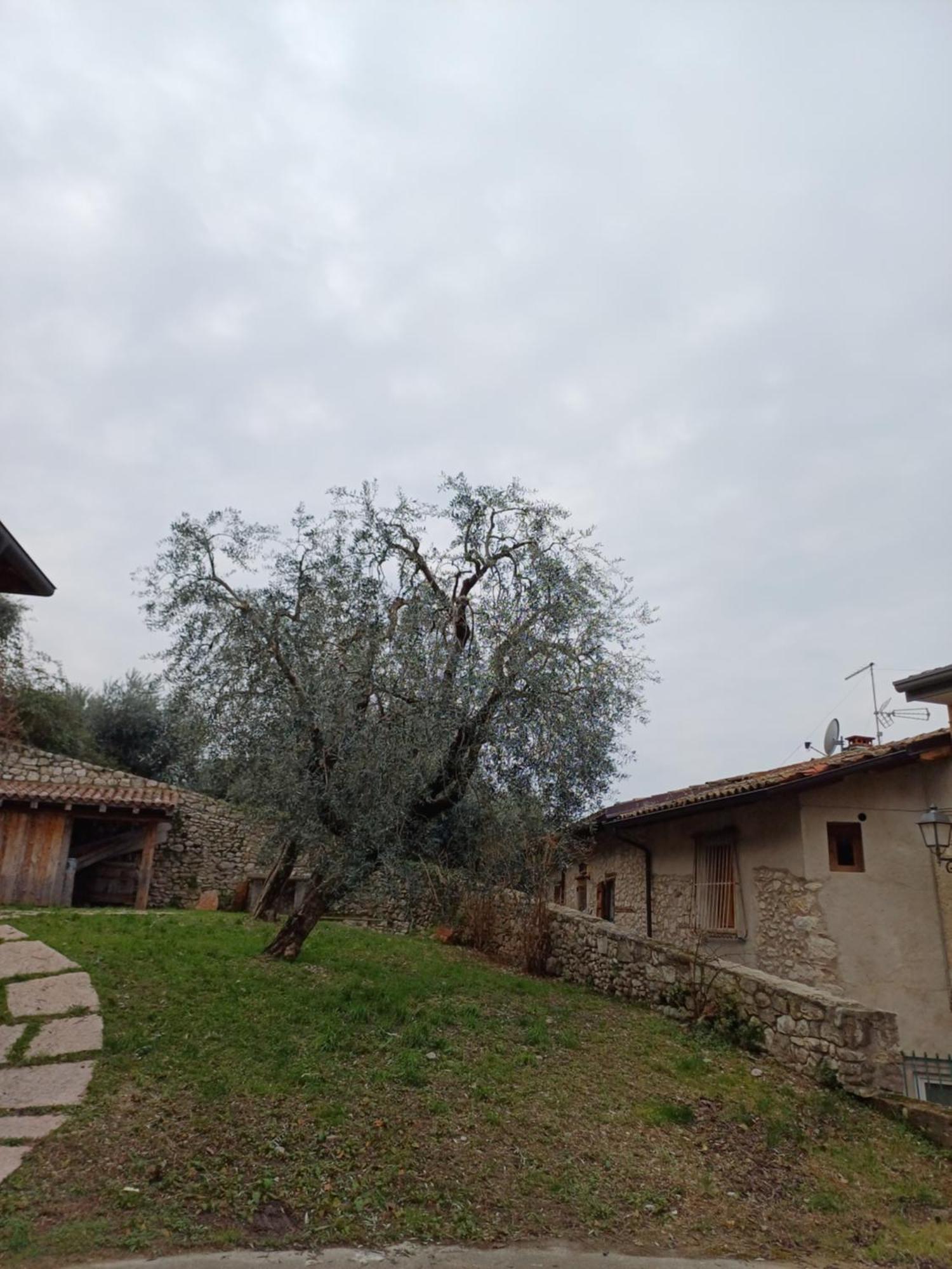 Apartment Albatros Brenzone sul Garda