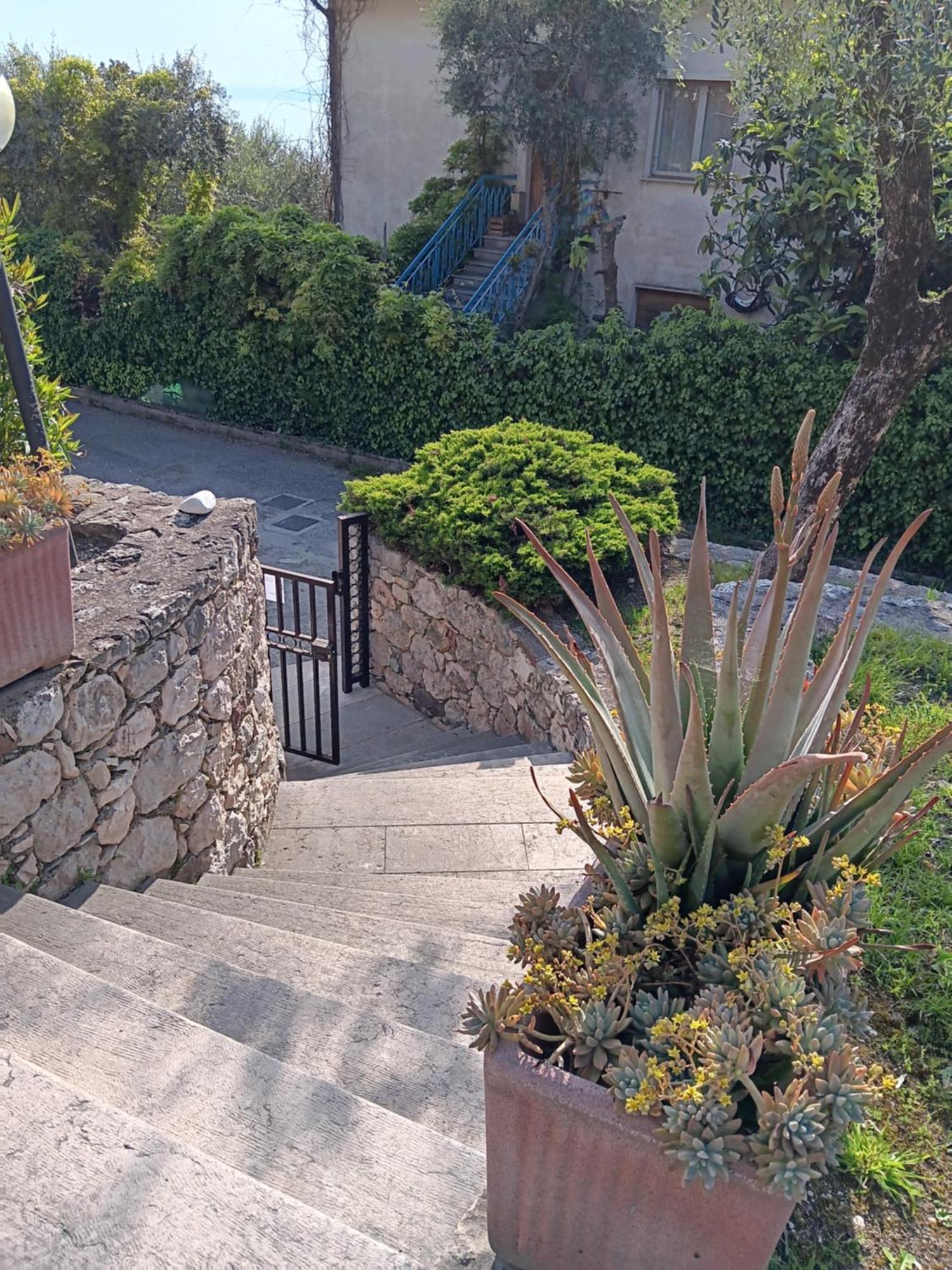 Albatros Apartment Brenzone sul Garda