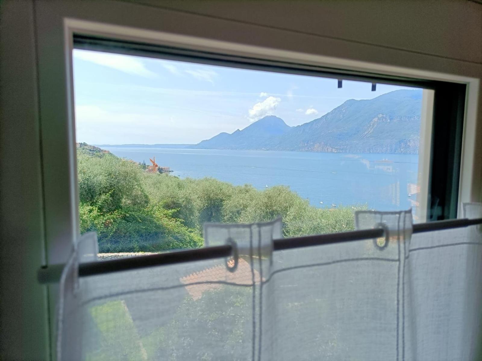 Albatros Apartment