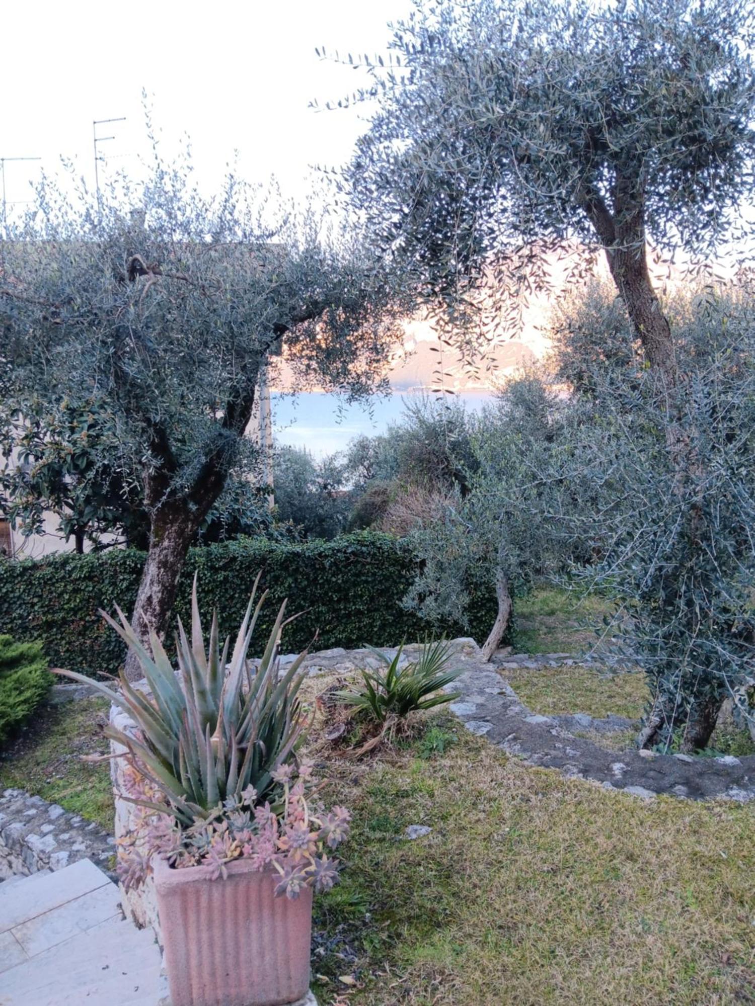 Albatros Brenzone sul Garda