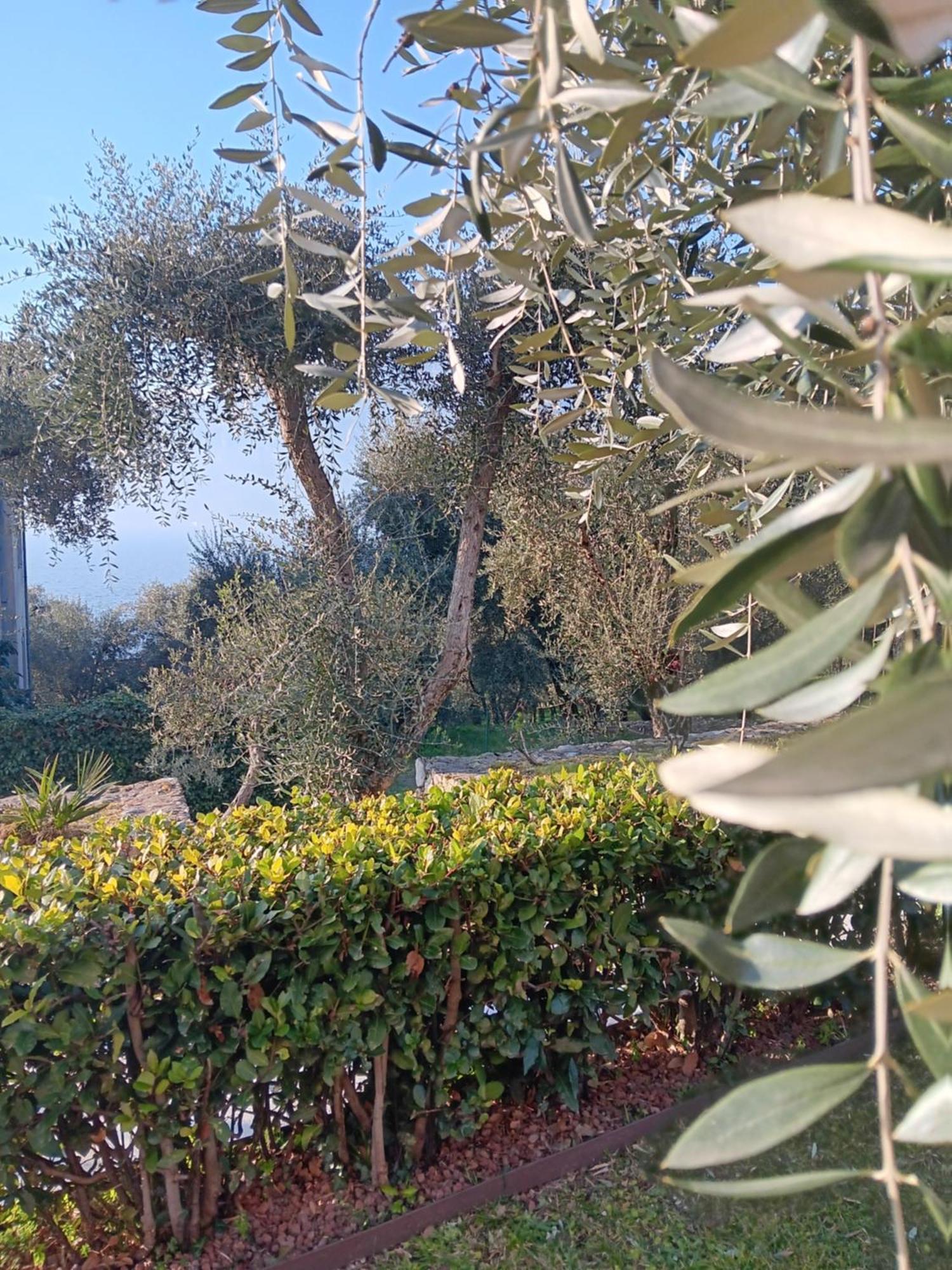 Apartment Albatros Brenzone sul Garda